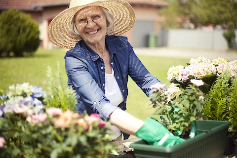 Gardening: 6 Ways to Renovate a Garden for Aging in Place and Senior Care