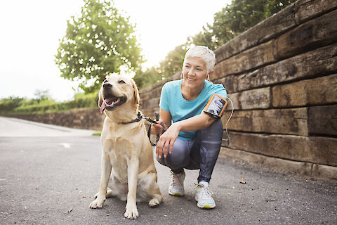 do old dogs need exercise