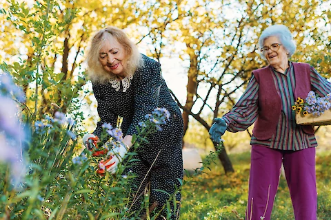 Fun And Engaging Activities For Seniors