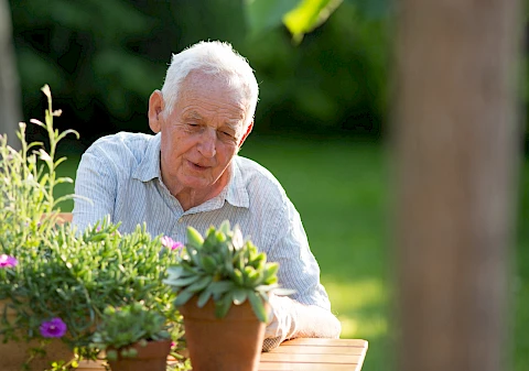 Blooms Of Happiness: Senior-friendly Gardening Tips