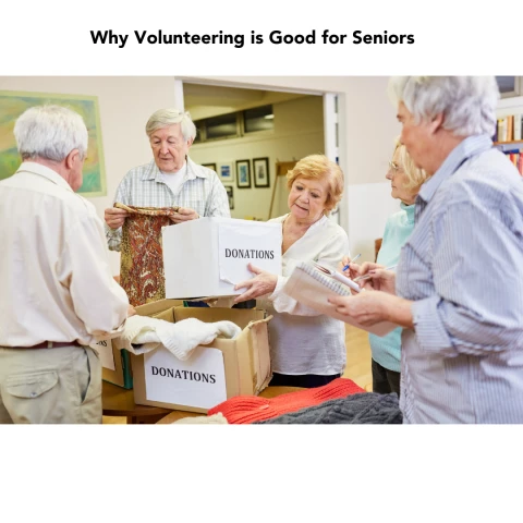 Why Volunteering is Good for Seniors