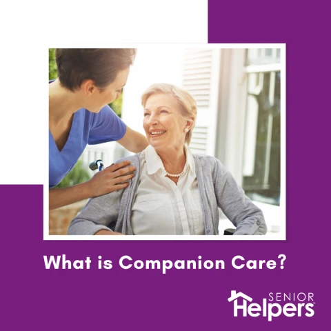 What is Companion Care?