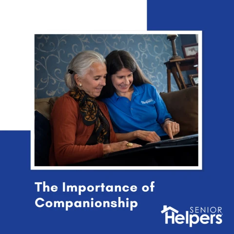 The Importance of Companionship