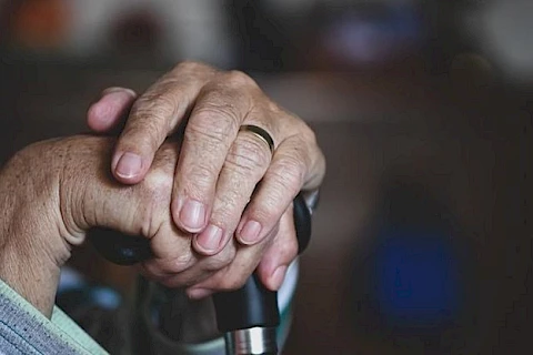 What to Expect from Professional Parkinson’s Care Services