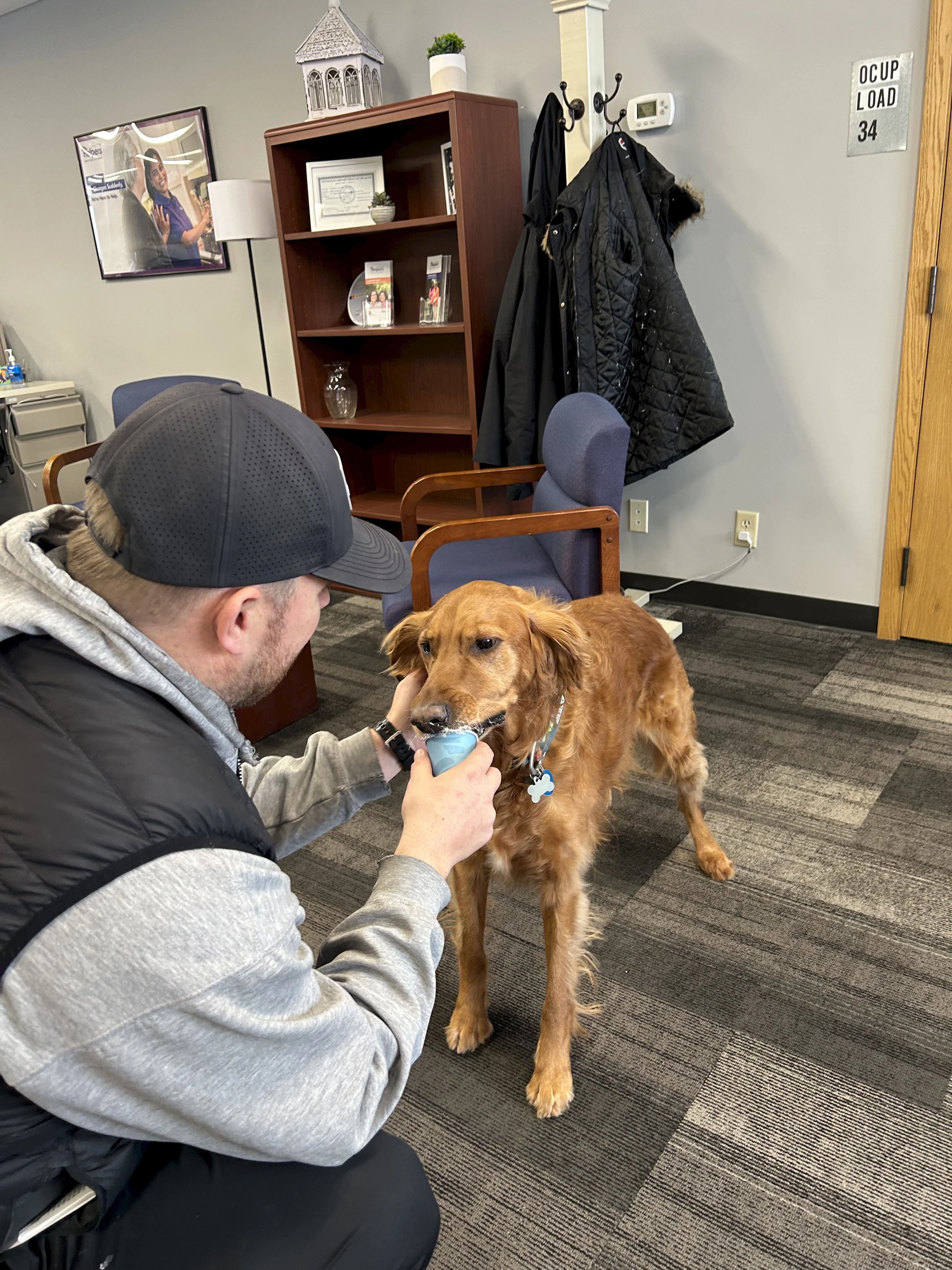 New assistant, Dwight (dog of Client Services Manager, Cassie) enjoys a puppuccino on his first day at our Plymouth office.